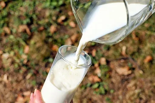 В Саратовской области произведено 115 тысяч тонн молока