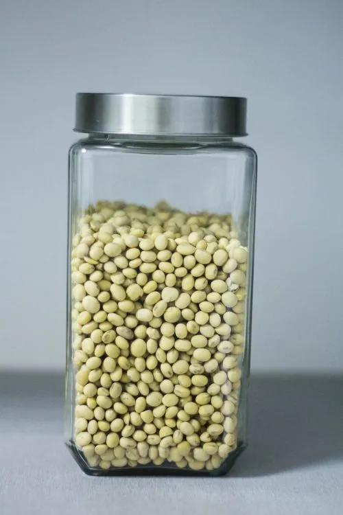 фотография продукта Соевые бобы, Дальневосточная соя НЕ ГМО