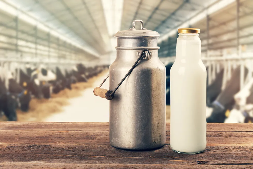 молоко от производителя оптом в Саратове и Саратовской области 2